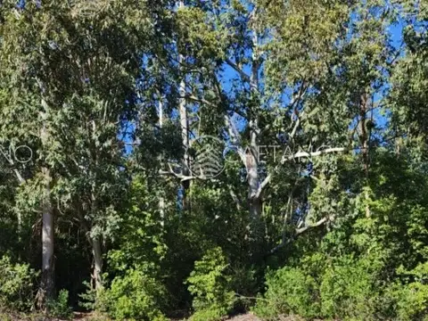 Venta terreno Punta Ballena, Ruta 12, Laguna del Sauce