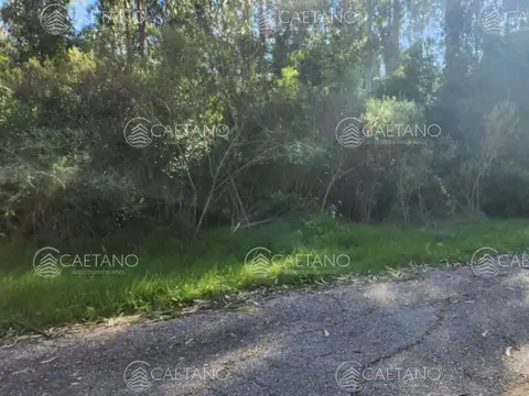 Terreno en Venta en Punta Ballena, USD 180.000