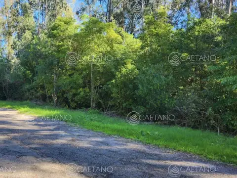 Venta terreno Punta Ballena, Ruta 12, Laguna del Sauce