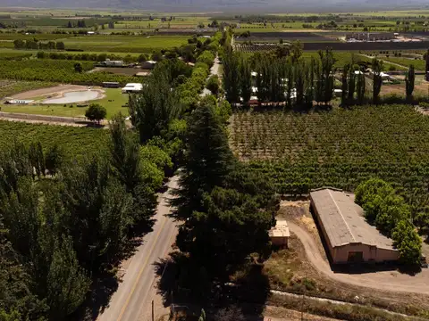 Finca en  Venta en Tunuyán