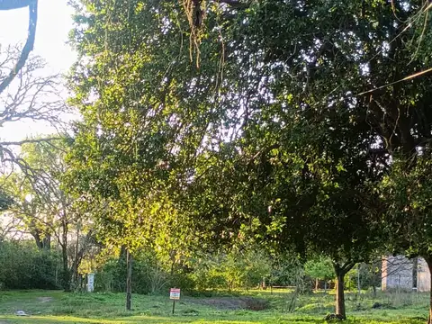 Terreno en Venta en Colonia Benitez, USD 8.100