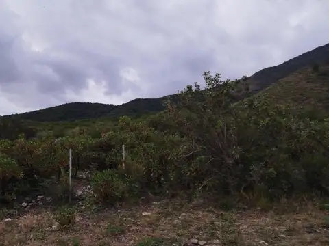 Terreno en Venta de 1586,0 m2