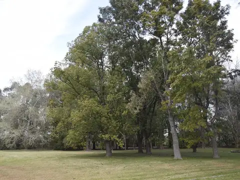 Chacra - San Joaquin