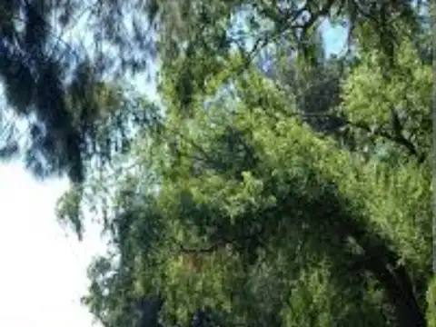 Terreno en Venta en San Fernando, USD 25.000