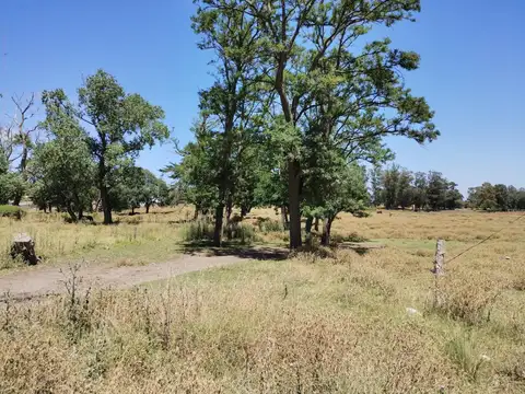 Juan Calchaquí 6535