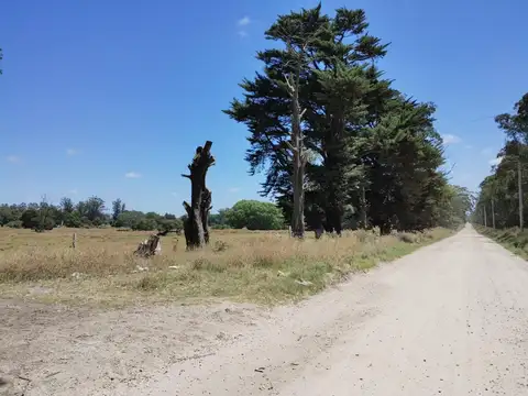 Venta o Permuta terreno lote en Mar del Plata