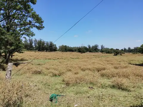 Terreno en Venta de 11054,0 m2