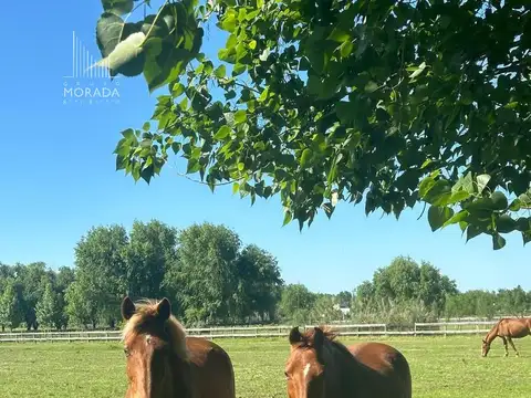 Terreno en Venta de 4740,0 m2