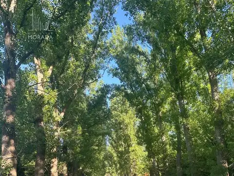 Venta Lote central y arbolado en Haras el Malacate Exaltación de la Cruz