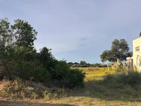 Terreno en Venta de 802,0 m2