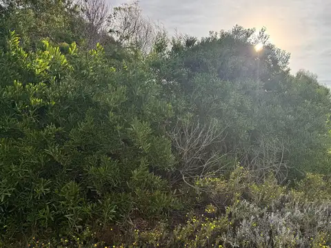 Terreno en Venta en Barrio Cerrado Costa Esmeralda, USD 74.000