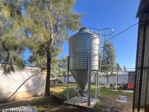 Venta Granja Avícola en campo de 3 Has la Floresta