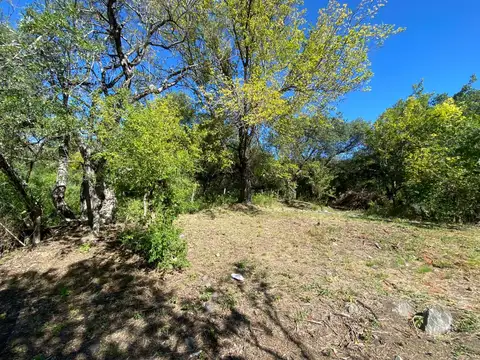 Terreno en Venta de 4237,0 m2