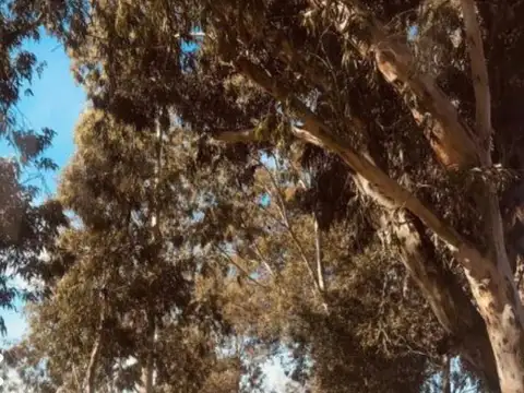 Terreno en Venta de 915,0 m2