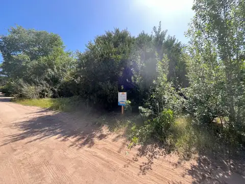 Viña del mar e/ 32 y 33