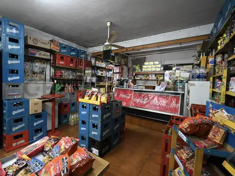 Casa 4 ambientes con local y garage en el barrio de Parque Avellaneda