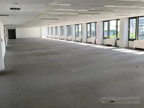 Oficina en Alquiler con 7 cocheras