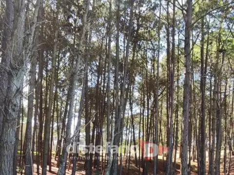 Terreno en Venta en Pinamar, USD 190.000