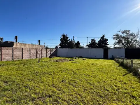 Colectora Oeste Acceso Norte 3900