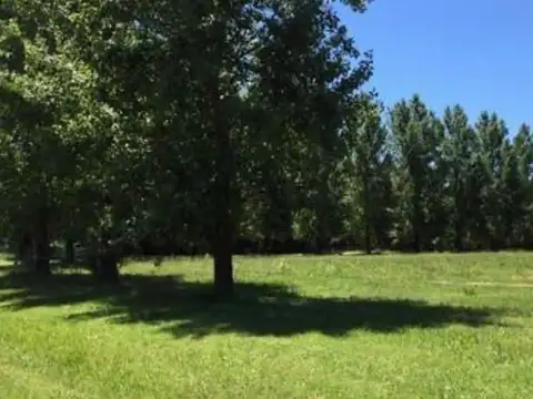 Terreno en Venta de 5000,0 m2