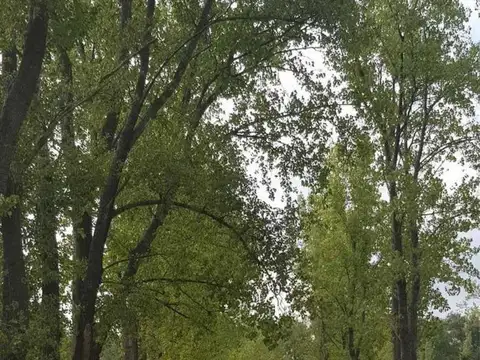 Terreno en Venta en Capilla Del Señor, USD 75.000