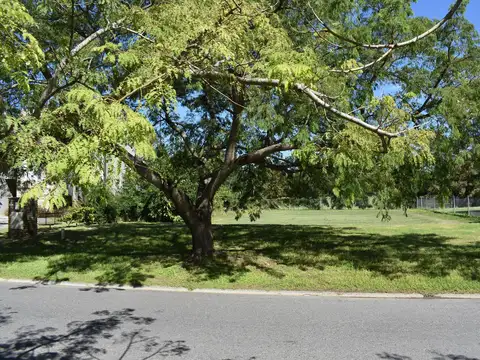 Terreno en Venta de 812,0 m2