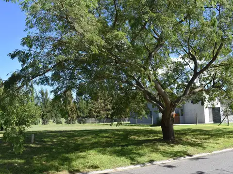 EL CANTON I BARRIO NORTE | ING. MASCHWITZ | ESCOBAR