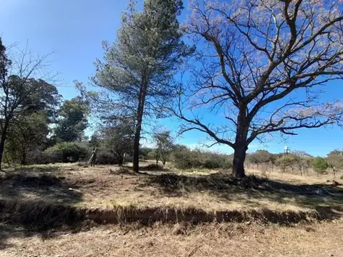 Terreno en Venta de 1232,0 m2