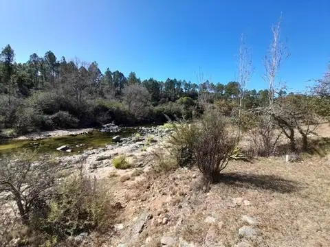 Consultar dirección