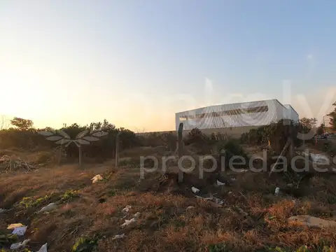 SEBASTIAN ELCANO 1200