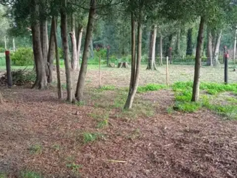 Terreno en Venta de 517,0 m2