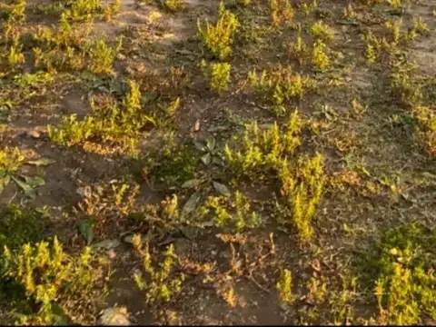 Terreno en Venta en Puertos - Barrio Amarras, USD 99.000