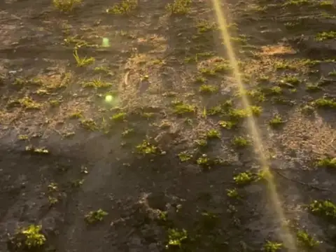 Terreno Lote  en Venta en Puertos, Escobar, G.B.A. Zona Norte