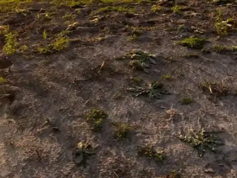 Puertos del Lago Amarras 100