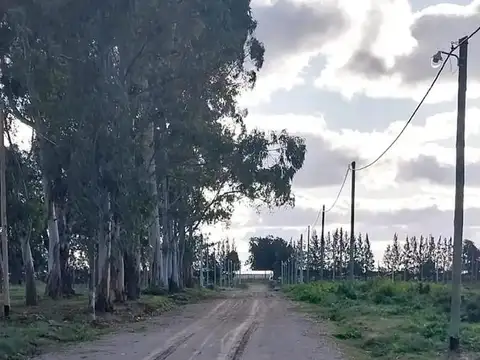 Aldea del Bosque II - 38 y 191