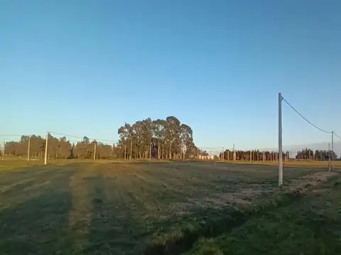 Terreno en Venta de 420,0 m2