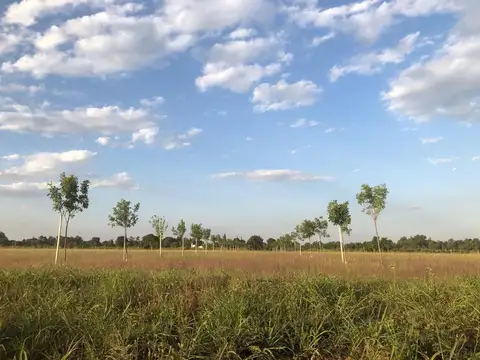 Avenida Argentina 100
