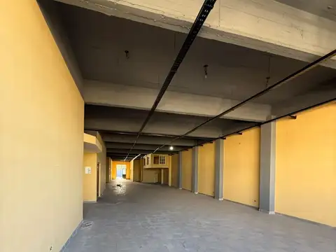 JUAN MANUEL DE ROSAS 10100