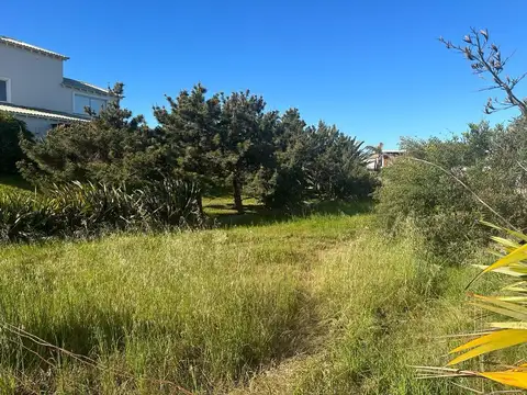 Terreno en Venta 12  mts Frente