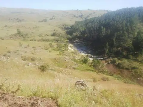 Campo en Venta de 128  ha