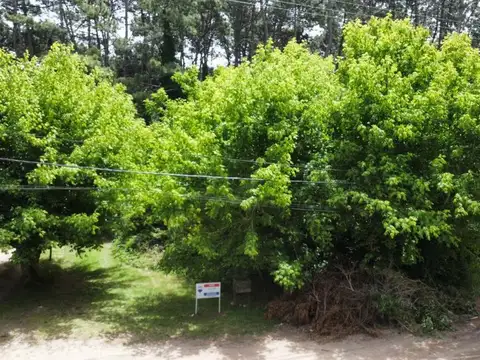 Terreno en Venta de 391,0 m2