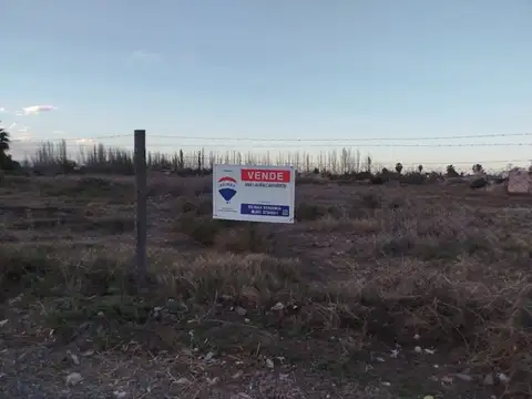 Alquiler Terreno 1,5 has en Los Corralitos