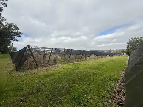Campo en Sierra De Los Padres