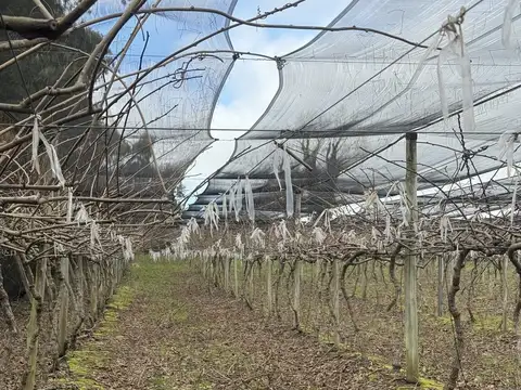 Sierra de Los Padres