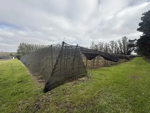 Campo en Sierra De Los Padres