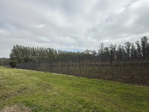 Sierra de Los Padres