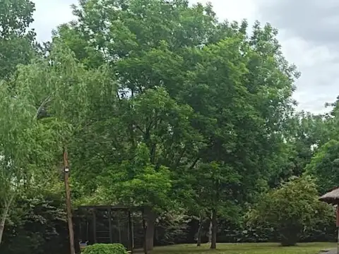 Alquiler temporario quinta en Francisco Alvarez