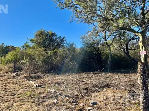 Terreno a la venta en Carpintería - San Luis