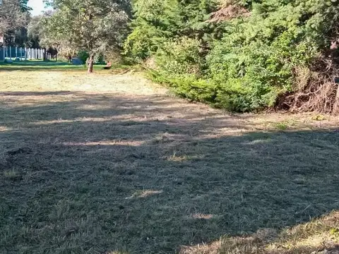 Terreno en Venta de 533,0 m2