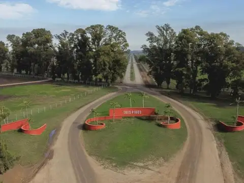 Terreno en Venta de 1774,0 m2